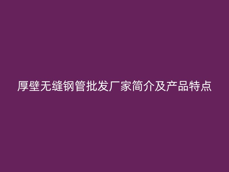 厚壁無縫鋼管批發廠家簡介及產品特點
