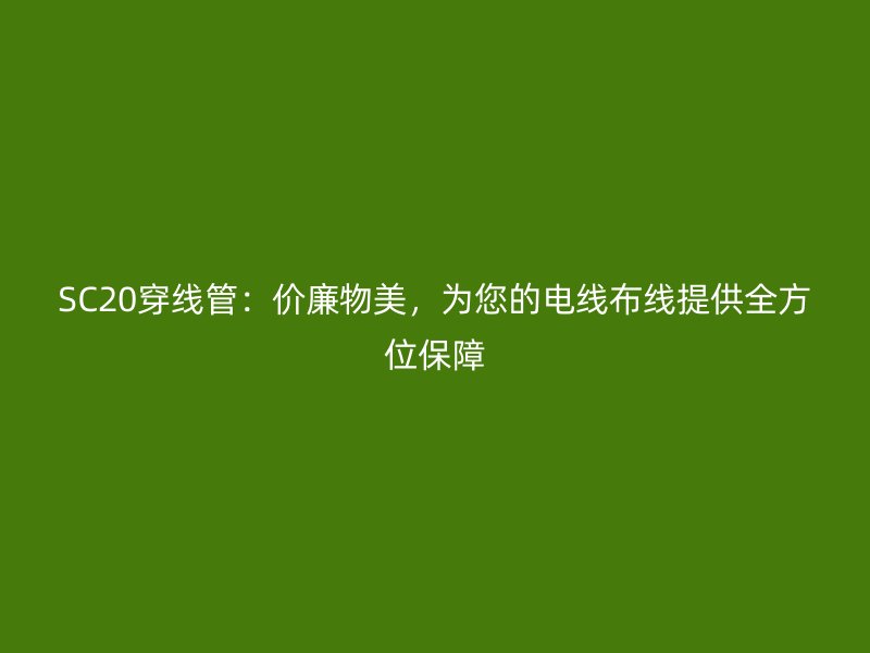 SC20穿線管：價廉物美，為您的電線布線提供全方位保障